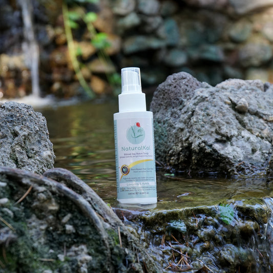 100 ml Natural Hair Care Tonic / Anti-Dandruff / Anti-Hair Loss Care